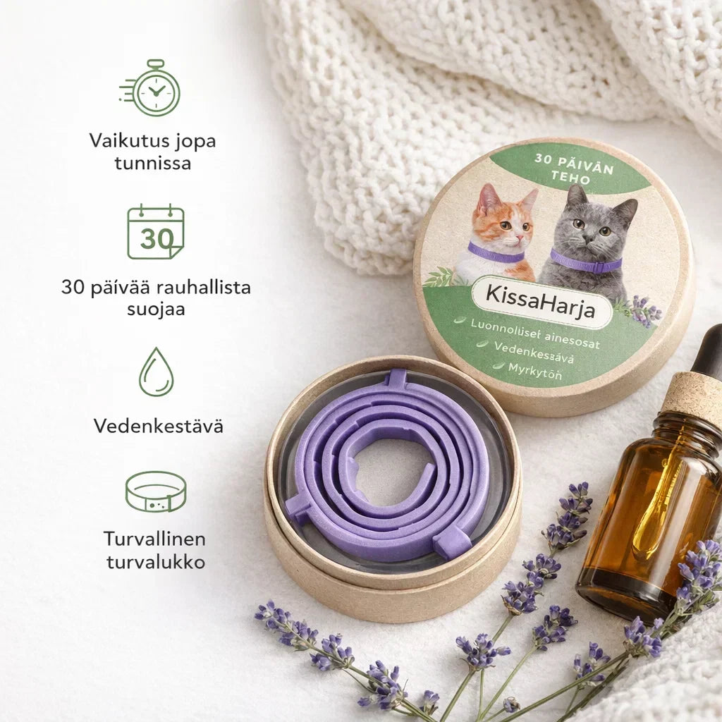 PoilNet – Brosse efficace pour retirer les poils morts